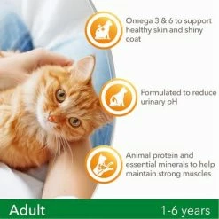 IAMS For Vitality Adult Fresh Chicken Dry Cat Food -Zooplus Sales Shop 8710255125954 a 8