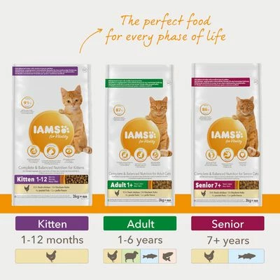 IAMS For Vitality Adult Lamb Dry Cat Food 7 IAMS For Vitality Adult Lamb Dry Cat Food - Image 5
