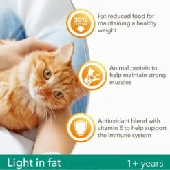 IAMS For Vitality Light In Fat Adult Fresh Chicken Dry Cat Food -Zooplus Sales Shop 8710255127637 3 9