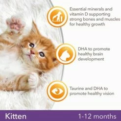 IAMS For Vitality Kitten Fresh Chicken Dry Cat Food -Zooplus Sales Shop 8710255127736 1