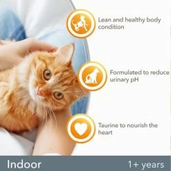 IAMS For Vitality Adult Indoor Fresh Chicken Dry Cat Food 11 IAMS For Vitality Adult Indoor Fresh Chicken Dry Cat Food -Zooplus Sales Shop 8710255150451 3