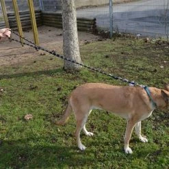 Julius K9 JULIUS-K9 IDC® Rope Lead -Zooplus Sales Shop 89141 juliusk9 idcropeleash hs 05 9