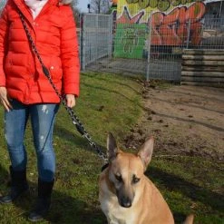 Julius K9 JULIUS-K9 IDC® Adjustable Rope Lead 13 Julius K9 JULIUS-K9 IDC® Adjustable Rope Lead -Zooplus Sales Shop 89698 juliusk9 idcadjustableropeleash hs 11 2