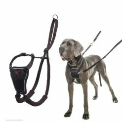 Halti Non-Pull Dog Training Harness -Zooplus Sales Shop 92496 92497 halti front control trainingsgeschirr hs 05 0