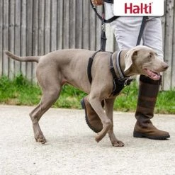 Halti Non-Pull Dog Training Harness -Zooplus Sales Shop 92496 92497 halti front control trainingsgeschirr hs 06 7