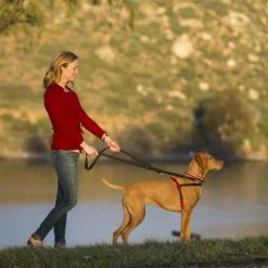 Halti Front Control Training Harness -Zooplus Sales Shop 94510 coa halti front controll harness hs 04 7