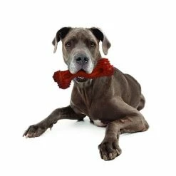 Nylabone DuraChew Monster Bone - Bison -Zooplus Sales Shop 94898 nylabone durra chew monster hs 05 1