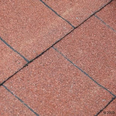 Dog Kennel Spike Special 9 Dog Kennel Spike Special - Image 7