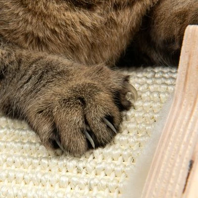 Natural Paradise Scratching Mat Cat Bed - Peony 10 Natural Paradise Scratching Mat Cat Bed - Peony - Image 8