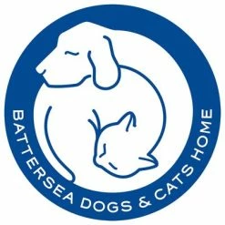 Pet Teezer De-shedding Brush -Zooplus Sales Shop 99699 newflag petteezer desheddingbrush purple hs 06 4