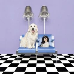 Pet Teezer De-shedding Brush -Zooplus Sales Shop 99699 newflag petteezer desheddingbrush purple hs 09 3