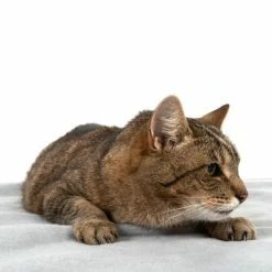 Heim Boil-Proof Dog Blanket -Zooplus Sales Shop 99720 kochfeste decke fg 4330 8