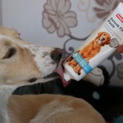 Beaphar Healthy Joints Paste -Zooplus Sales Shop 99919 beaphar gelenk fitpaste 250g hs 02 8