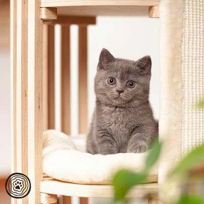 Natural Paradise Scratching Barrel - Lily 6 Natural Paradise Scratching Barrel - Lily - Image 4