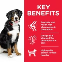 Hill's Science Plan Adult 1-5 Large Breed With Chicken -Zooplus Sales Shop atf8 604308 key benefits 5