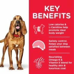 Hill's Science Plan Hill’s Science Plan Mature Adult 7+ Light Medium With Chicken -Zooplus Sales Shop atf8 604380 key benefits 8