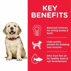 Hill's Science Plan Hill’s Science Plan Puppy <1 Large Breed With Chicken -Zooplus Sales Shop atf8 604386 key benefits 3
