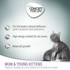Concept For Life Mum & Young Kittens Mousse -Zooplus Sales Shop cfl benefitboards mum young kittens 2022 1000x1000 s 0