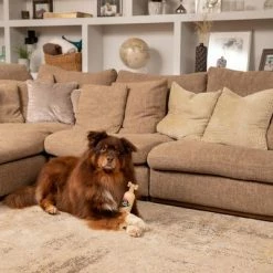 Pet Head Sensitive Soul -Zooplus Sales Shop companyofanimals pethead sensitivesoul set3teilig hs 08 9