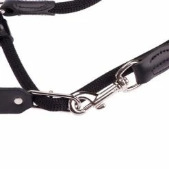 HUNTER Retriever Slip Lead - 260cm 15 HUNTER Retriever Slip Lead - 260cm -Zooplus Sales Shop dsc2329 1