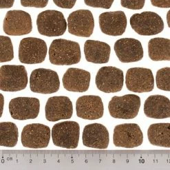 Wolf Of Wilderness "The Taste Of" Mixed Trial Pack -Zooplus Sales Shop dsc2642 0