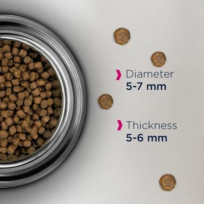 Eukanuba Healthy Start Kitten 5 Eukanuba Healthy Start Kitten - Image 3