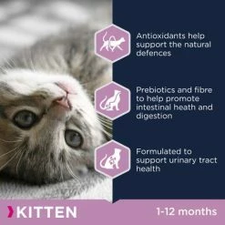 Eukanuba Healthy Start Kitten 8 Eukanuba Healthy Start Kitten -Zooplus Sales Shop eukanuba healthy start kitten dcf info 6