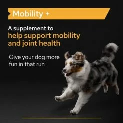 Pro Plan Mobility Dog Supplement Powder -Zooplus Sales Shop features 4
