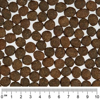 Greenwoods Adult Economy Pack 3 X 3kg 9 Greenwoods Adult Economy Pack 3 X 3kg - Image 7