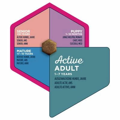 Eukanuba Active Adult Medium Breed Chicken 6 Eukanuba Active Adult Medium Breed Chicken - Image 4