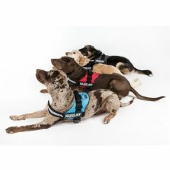 Julius K9 Power Harness - Red -Zooplus Sales Shop juliusk9 powergeschirr 4 farben 4