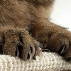 Trixie Sisal Cat Scratching Board -Zooplus Sales Shop katzen kratzmatte1 1