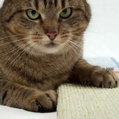 Trixie Sisal Cat Scratching Board -Zooplus Sales Shop katzen kratzmatte2 1