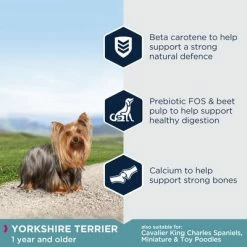 Eukanuba Yorkshire Terrier Adult -Zooplus Sales Shop key benefits 6