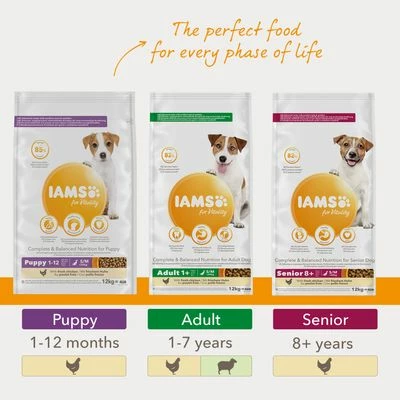 IAMS For Vitality Puppy & Junior Small & Medium Dog - Chicken - Image 4