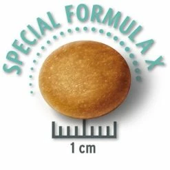 Concept For Life Economy Packs -Zooplus Sales Shop largejunior krokette 7