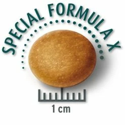 Concept For Life Economy Packs -Zooplus Sales Shop largesenior krokette 8