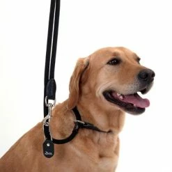 HUNTER Retriever Slip Lead - 260cm 12 HUNTER Retriever Slip Lead - 260cm -Zooplus Sales Shop leine halsband 11 1