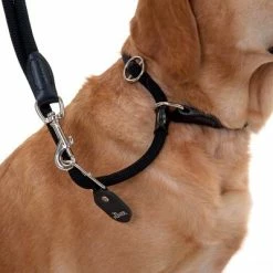 HUNTER Retriever Slip Lead - 260cm 16 HUNTER Retriever Slip Lead - 260cm -Zooplus Sales Shop leine halsband 13 1