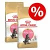 Royal Canin Breed Dry Cat Food Economy Packs -Zooplus Sales Shop maine coon kitten rc eco pack 8