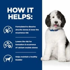 Hill's Prescription Diet Canine C/d Multicare Urinary Care -Zooplus Sales Shop pd cd dog bk26434m bk32581 bk28303 bk28465 how helps uk 0