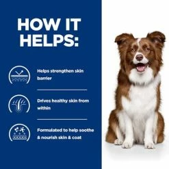 Hill's Prescription Diet Canine Derm Defense Skin Care - Chicken -Zooplus Sales Shop pd derm defense dog bk27176m bk28234 how helps uk 8