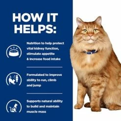 Hill’s Prescription Diet Feline K/d+Mobility Kidney+Joint Care 15 Hill’s Prescription Diet Feline K/d+Mobility Kidney+Joint Care -Zooplus Sales Shop pd kd mobility cat bk24069m bk27533m how helps uk 6