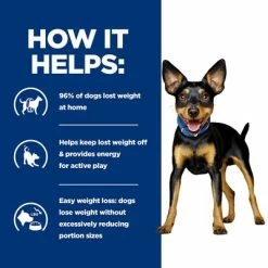 Hill’s Prescription Diet Canine Mini Metabolic 15 Hill’s Prescription Diet Canine Mini Metabolic -Zooplus Sales Shop pd metabolic dog mini bk28229m bk30786 how helps uk 4