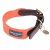 Nomad Tales Bloom Collar, Coral -Zooplus Sales Shop pla 328396 328496 328497 328596 328696 nomad tales bloom halsbaender fg 1477 4 1