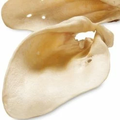 Premium Bavarian Cows’ Ears -Zooplus Sales Shop premium rinderohren bayern 5