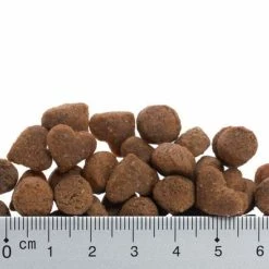 Feringa Adult Chicken & Trout -Zooplus Sales Shop prod 01 9