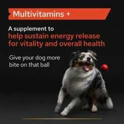 Pro Plan Dog Multivitamins Supplement Tablet -Zooplus Sales Shop pu proplan uk supplements multivitamins dog l 3 1 220411 1649908812064 4
