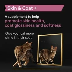 Pro Plan Cat Adult Skin & Coat Supplement Oil 15 Pro Plan Cat Adult Skin & Coat Supplement Oil -Zooplus Sales Shop pu proplan uk supplements skin coat cat l 1 2