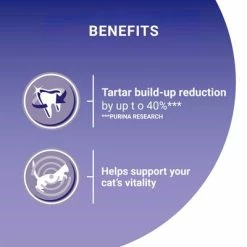 Purina ONE Adult Chicken & Whole Grains Dry Cat Food -Zooplus Sales Shop puoedcgoaadsech30feg2plguk 4